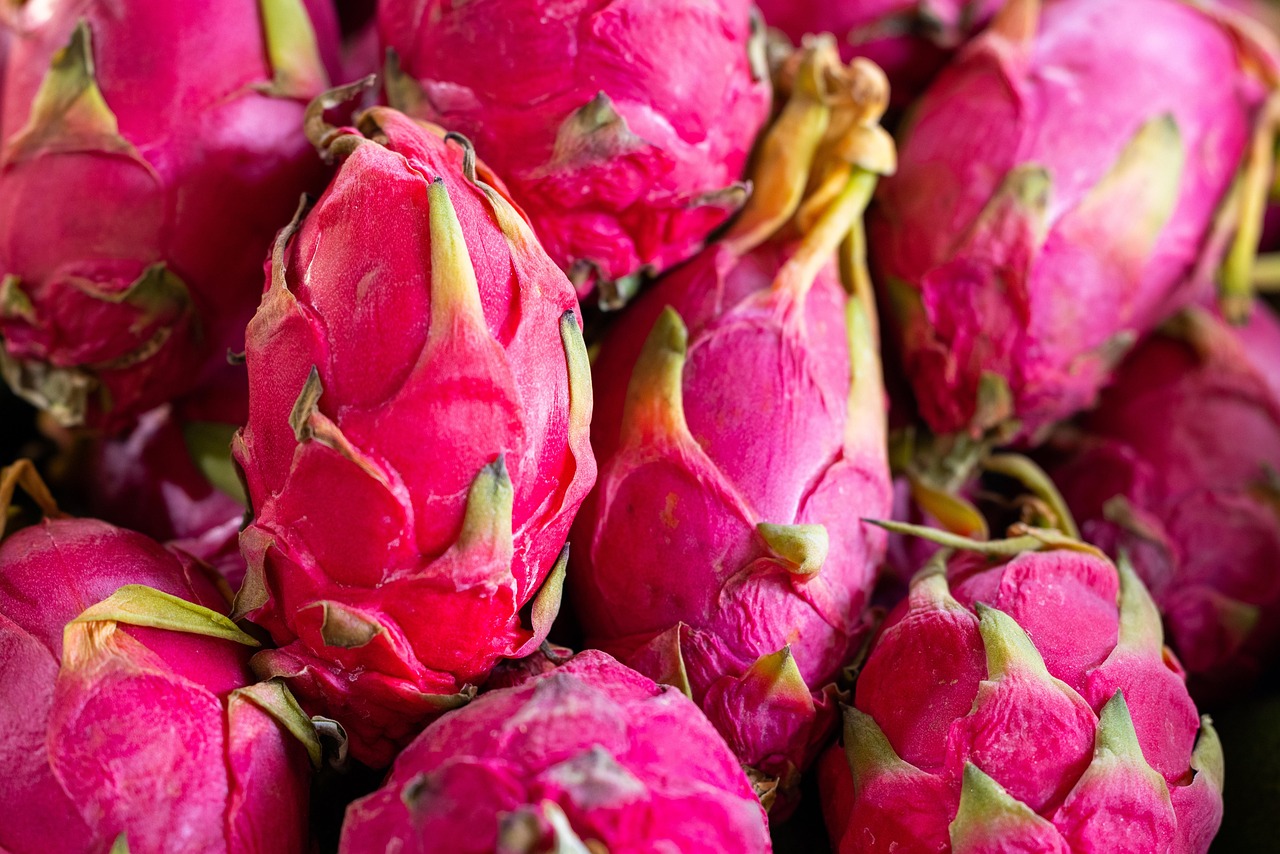 Exotic Dragon Fruit